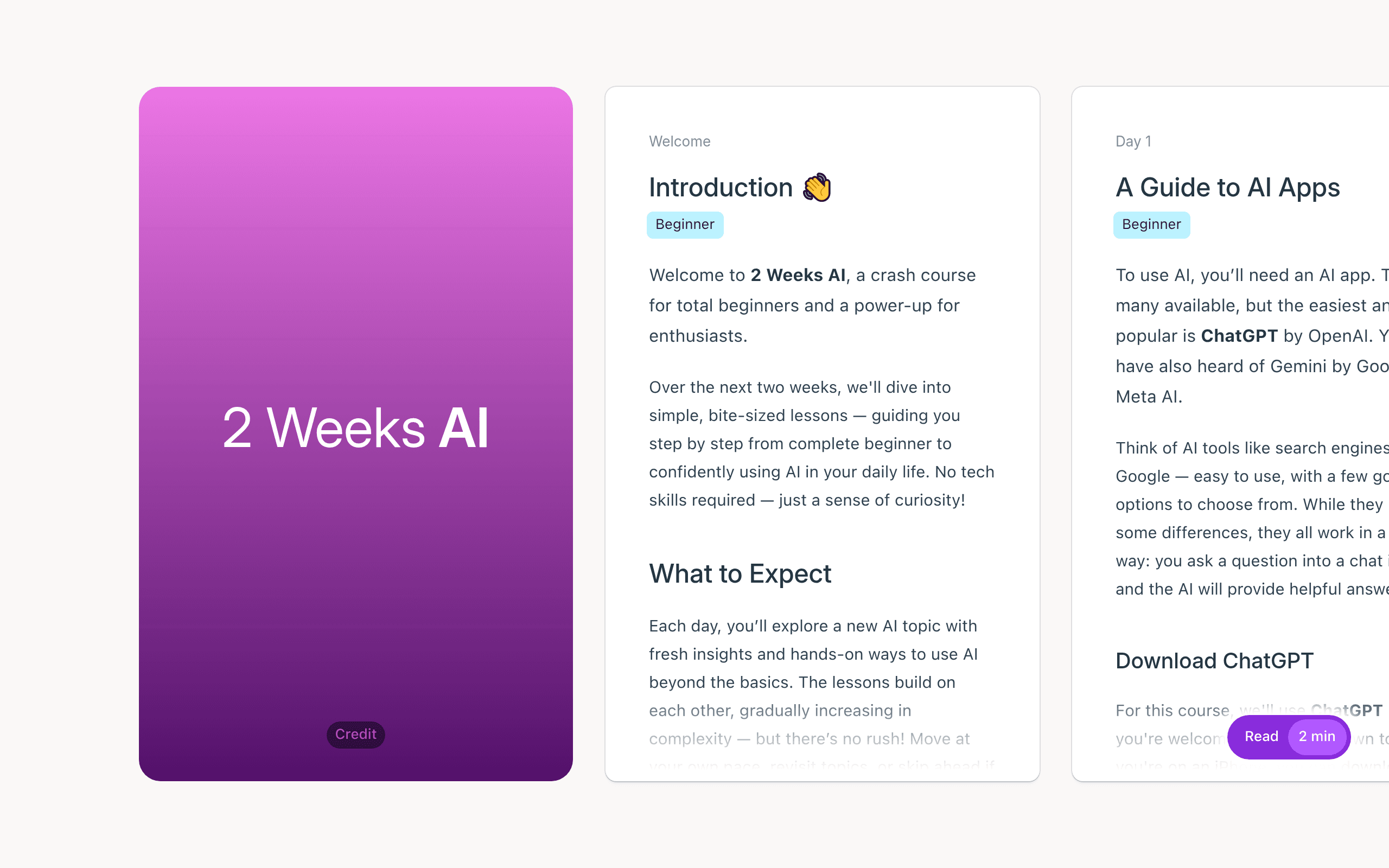 2 Weeks AI