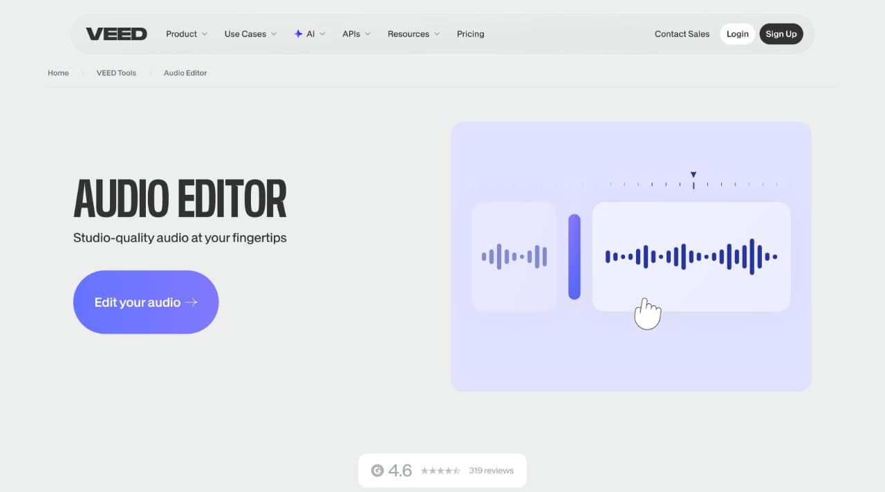 Audio Editor by Veed