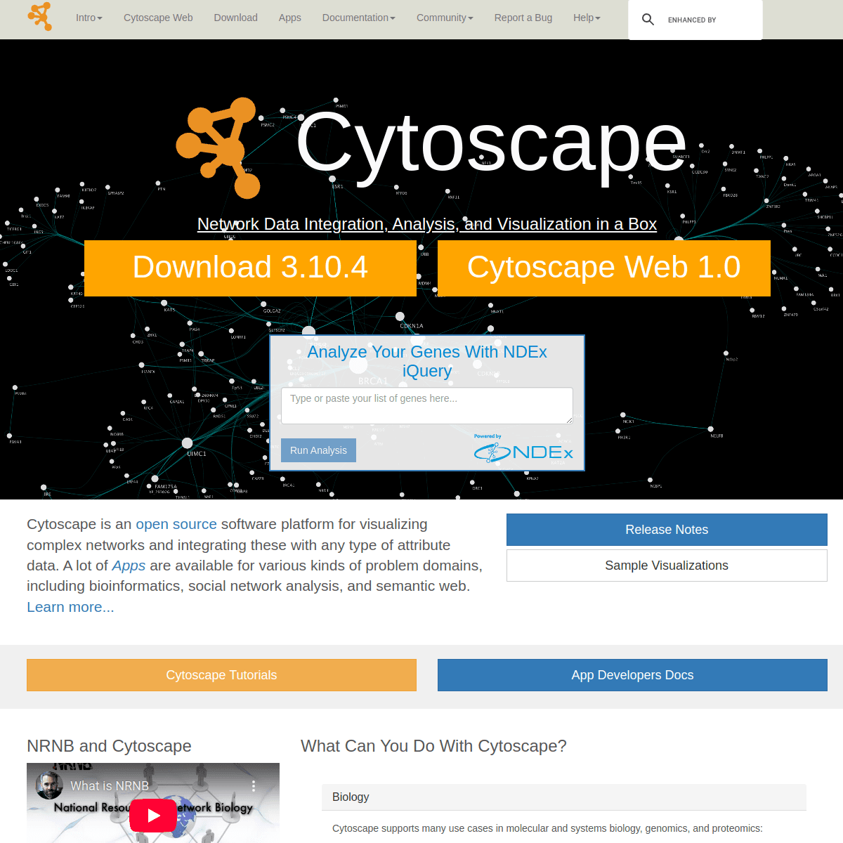 Cytoscape AI