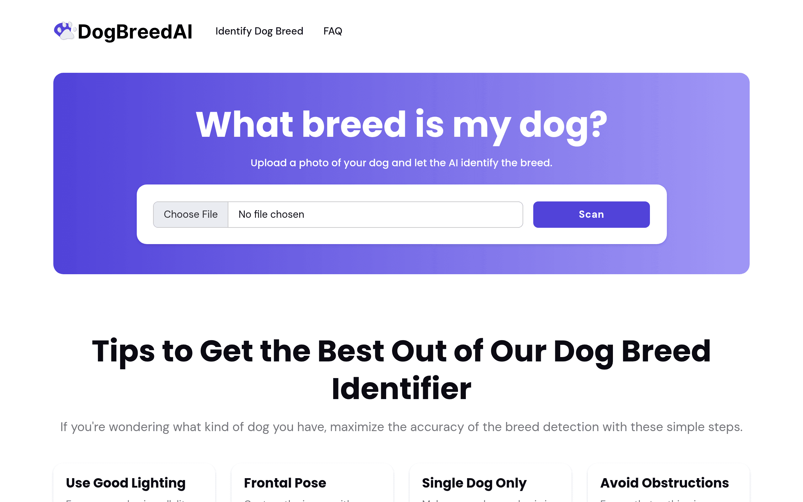 Dog Breeds