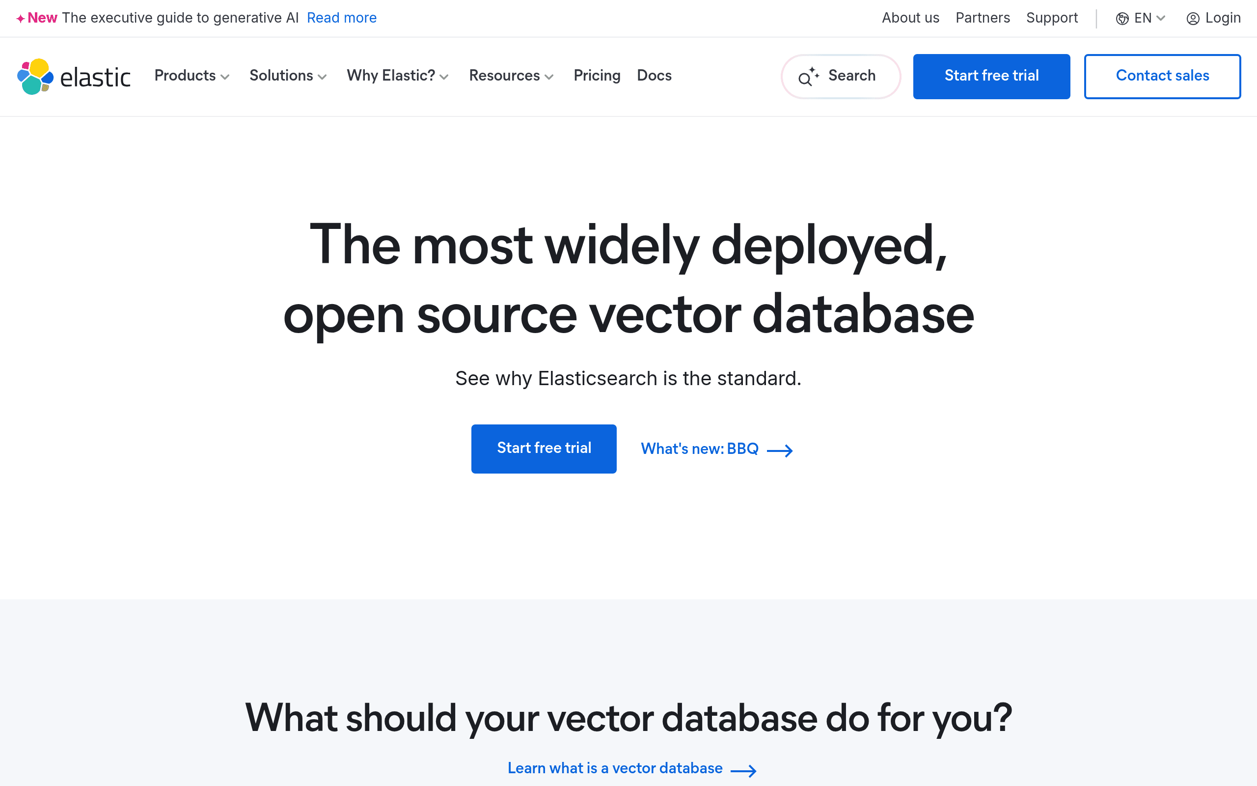Elasticsearch's vector database