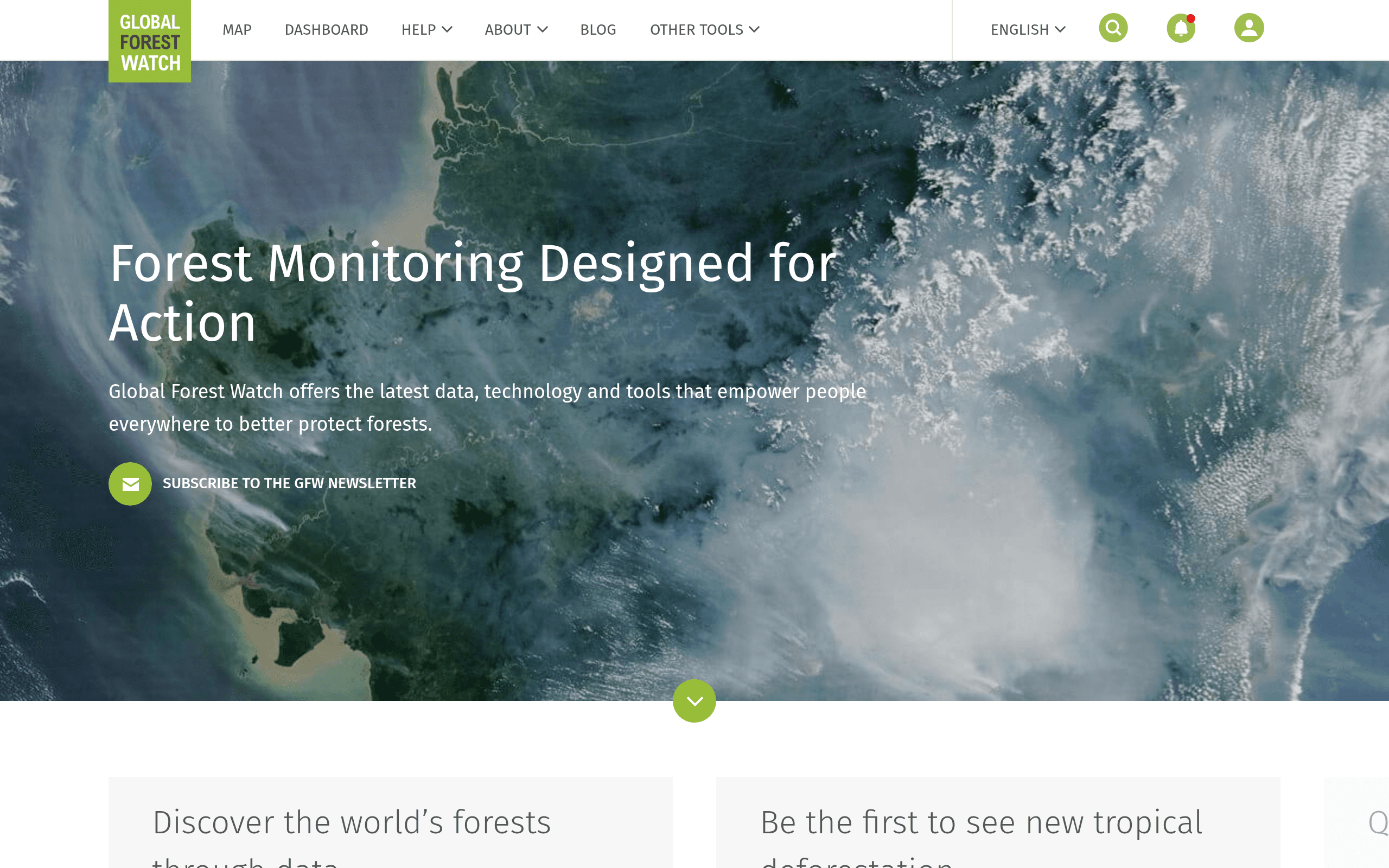 Global Forest Watch