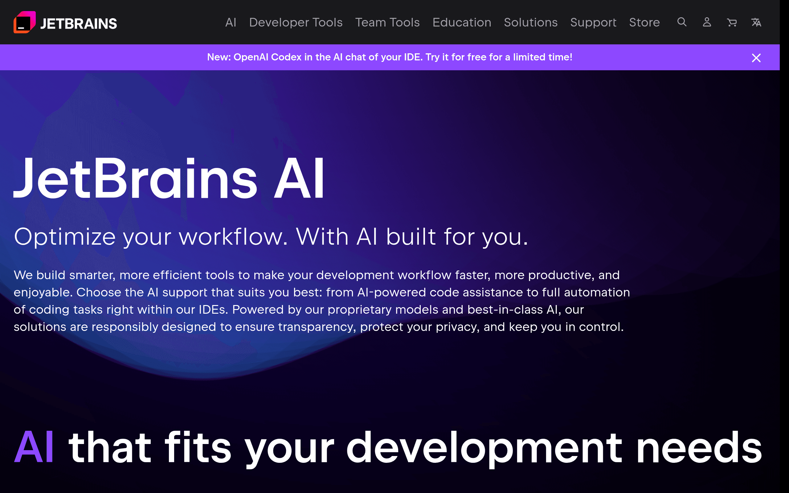 JetBrains AI