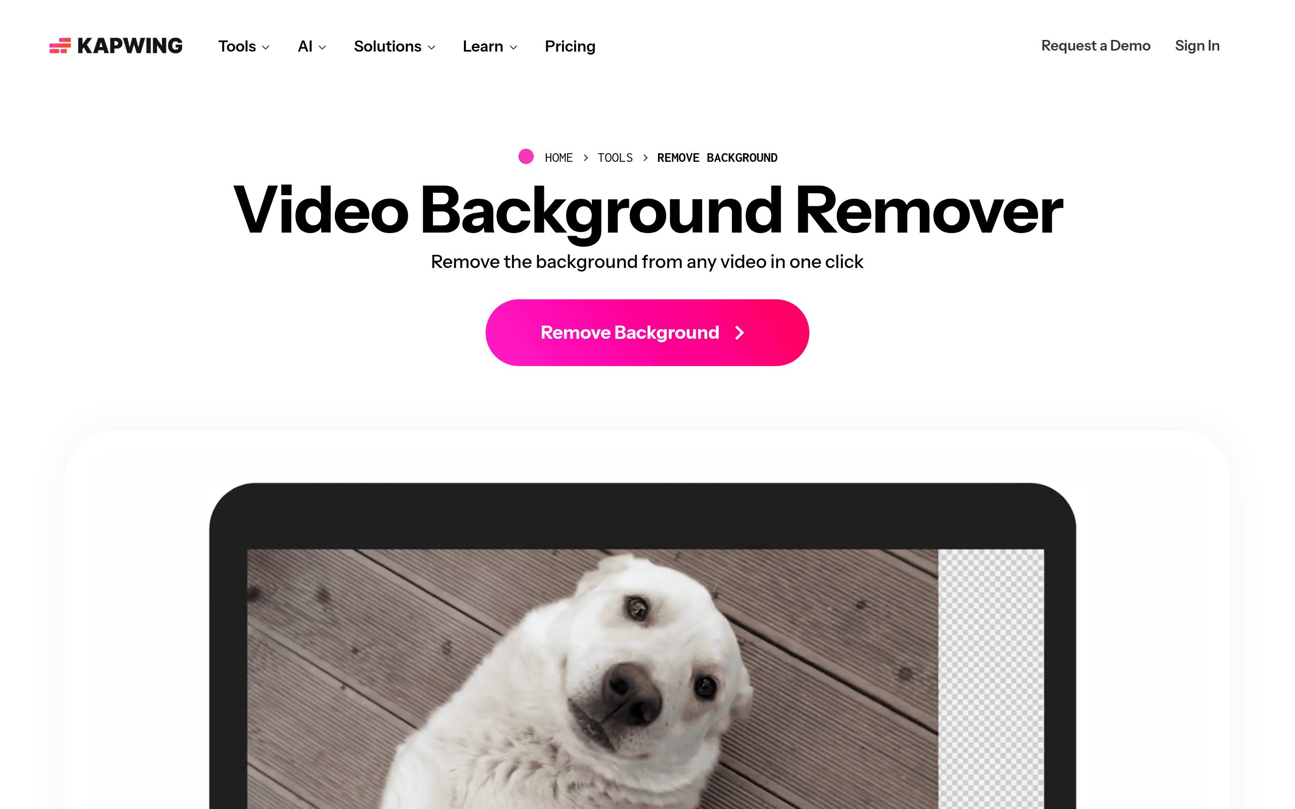 Kapwing Background Remover