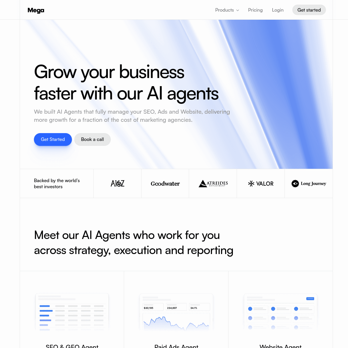 Mega SEO