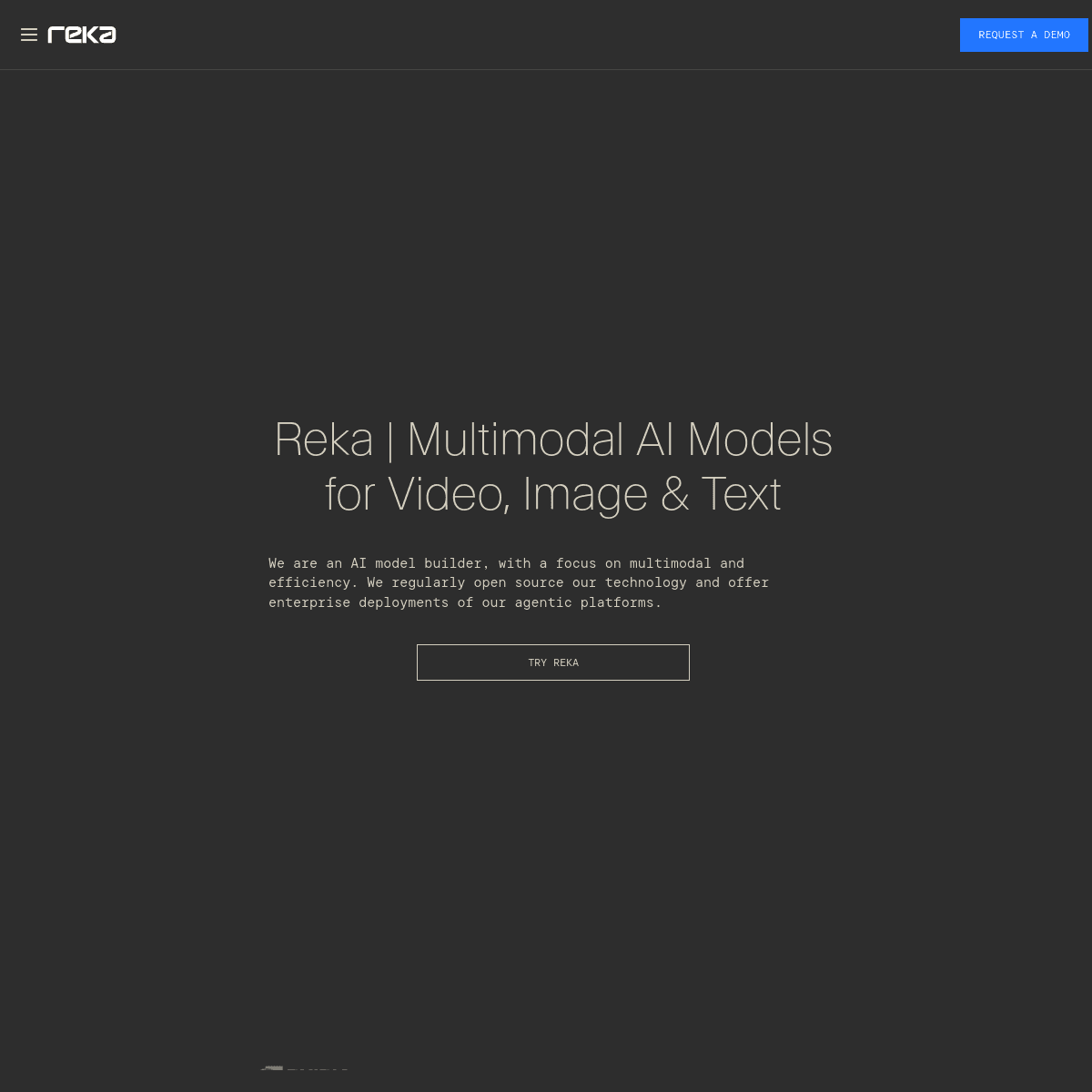 Reka AI