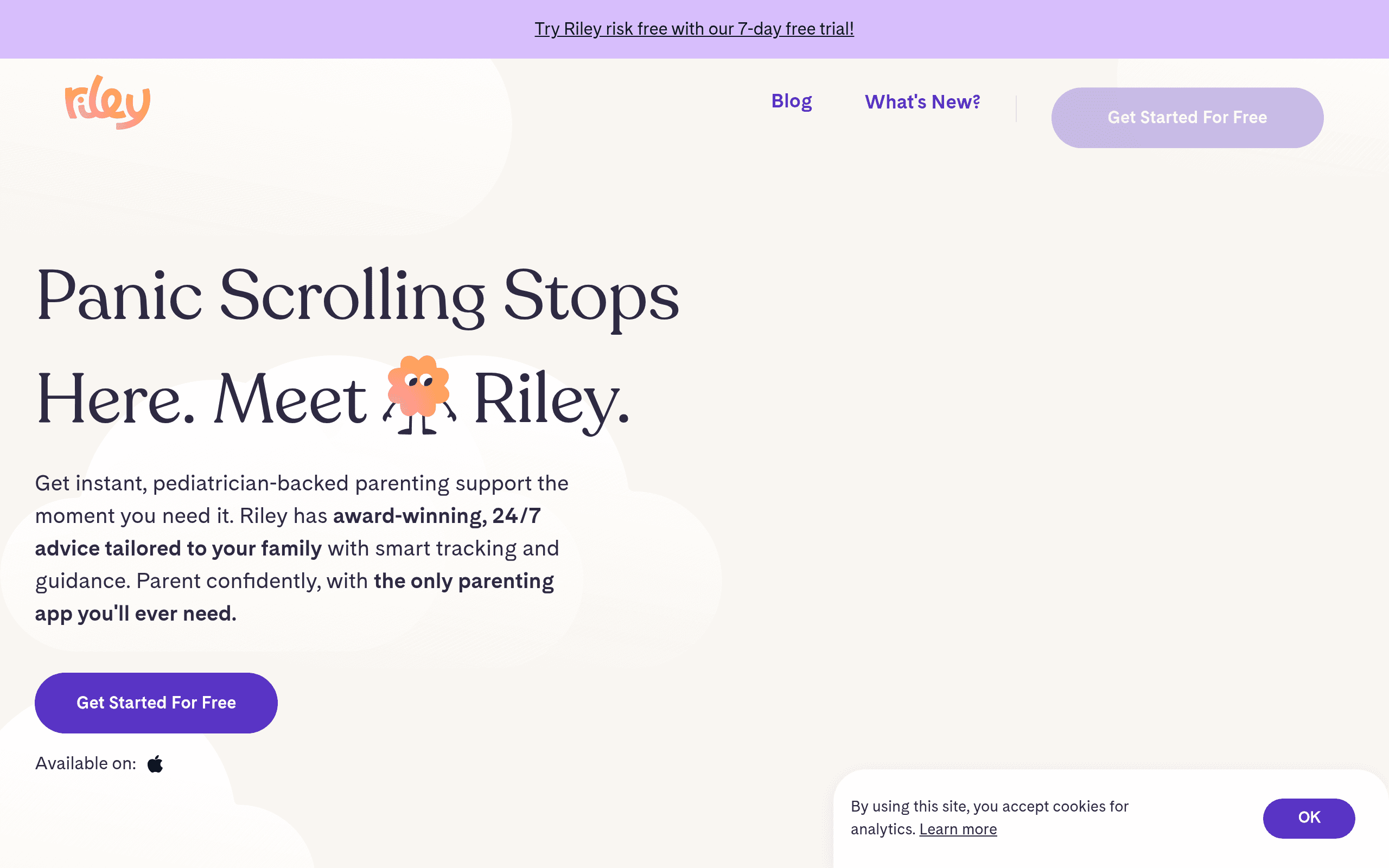 Riley AI
