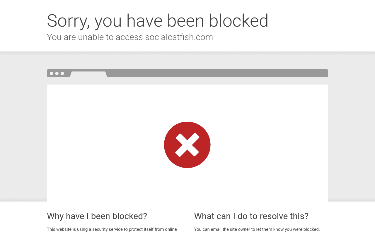 Social Catfish Reverse Image Search