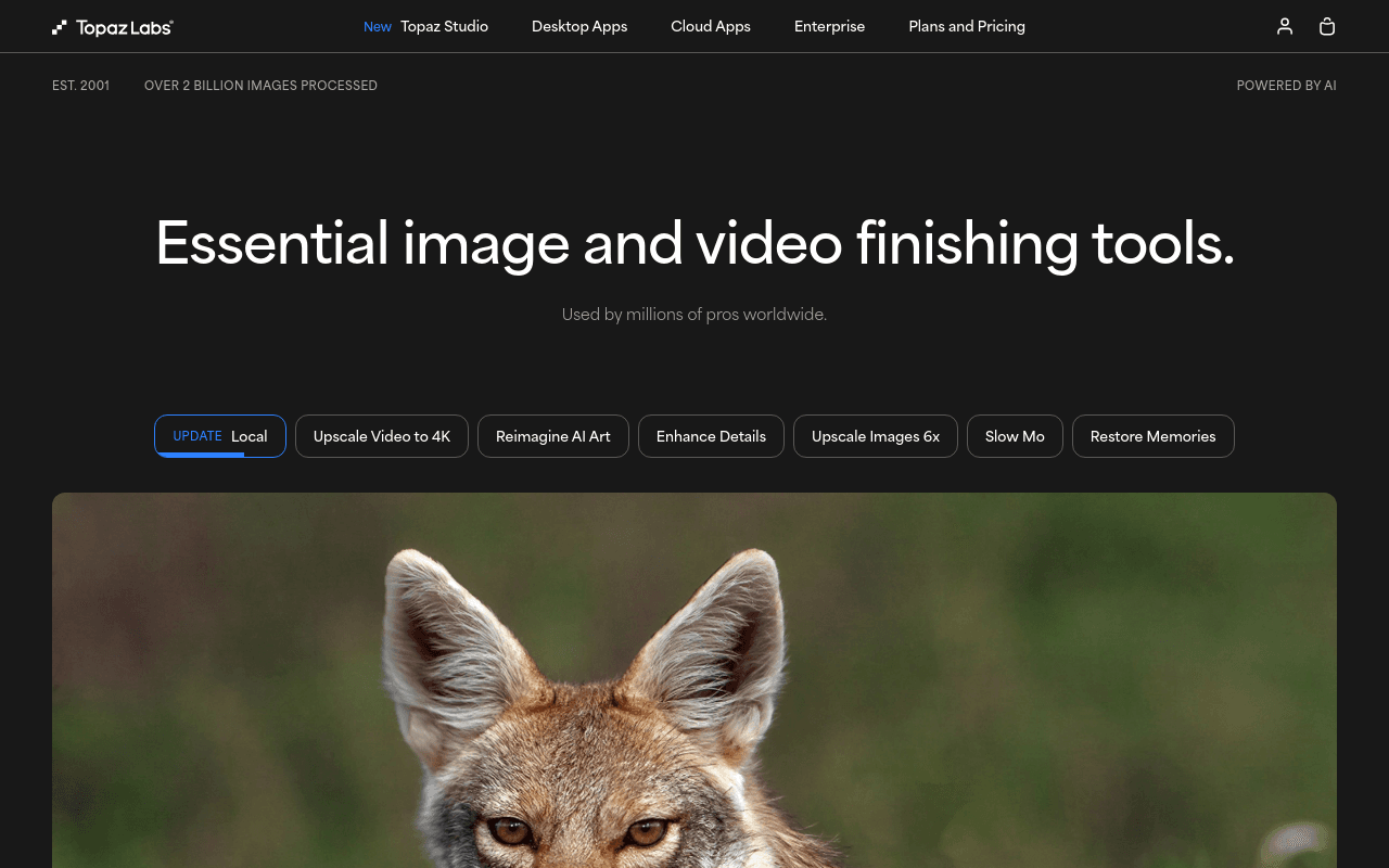 Topaz Labs