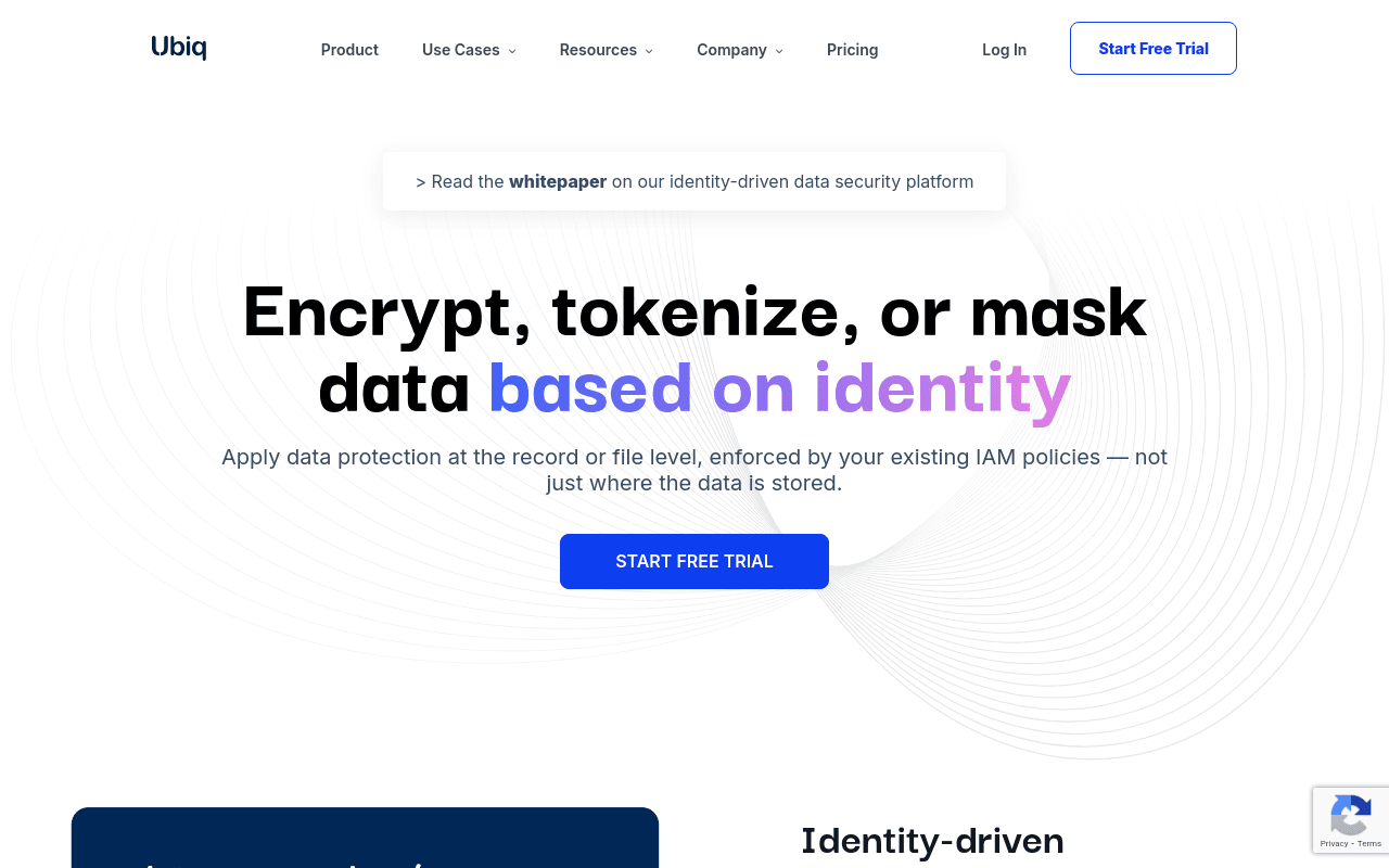Ubiq Security