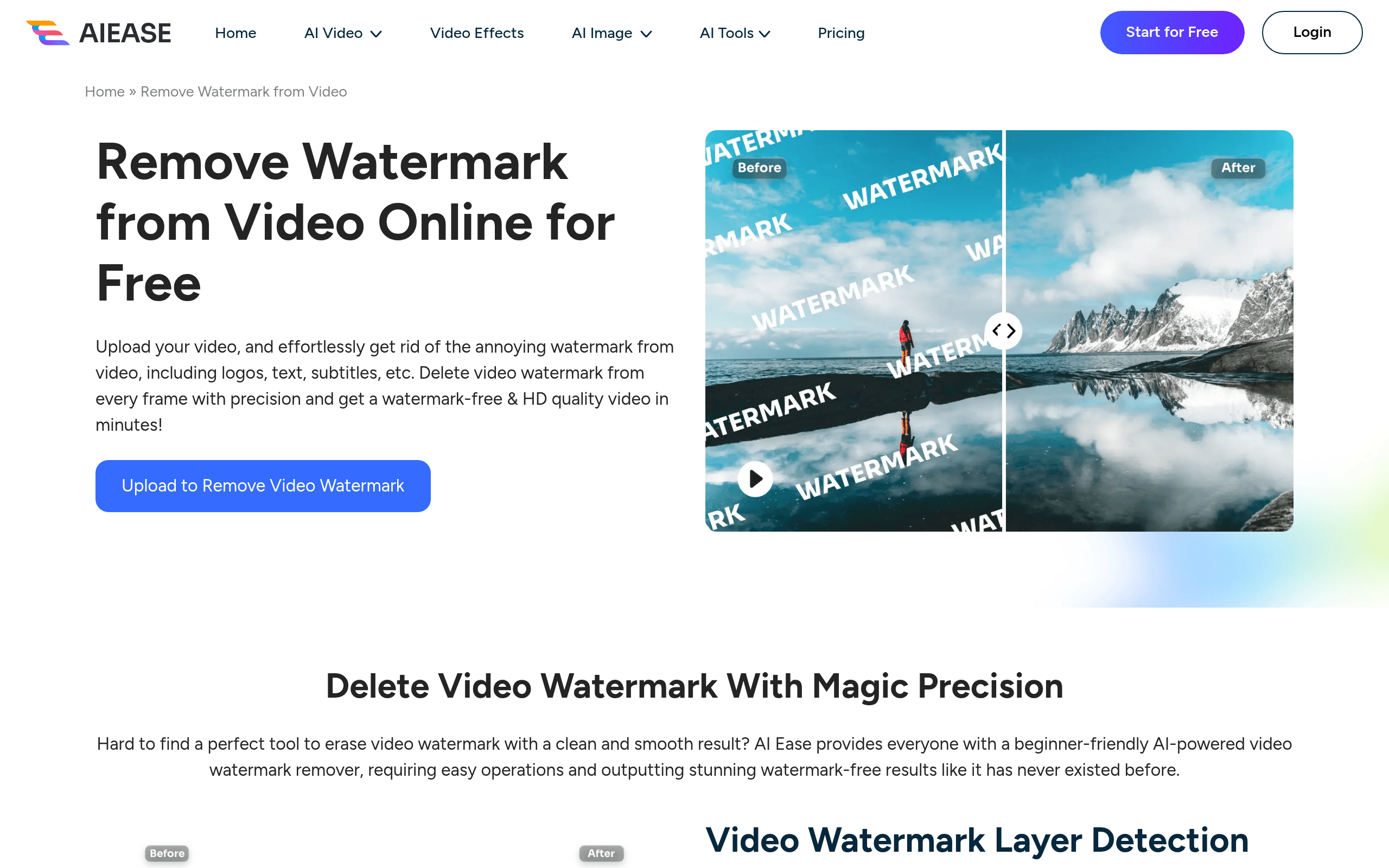 Video Watermark Remover